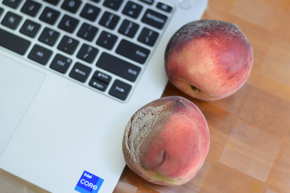 国货之光，彻底解决冰箱异味问题，体验后发现还支持手机操作