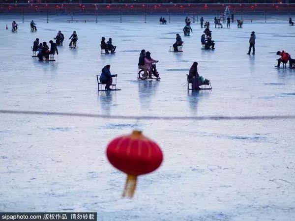 细赏颐和园之秋色冬韵,让我们看看冬日颐和园的美景