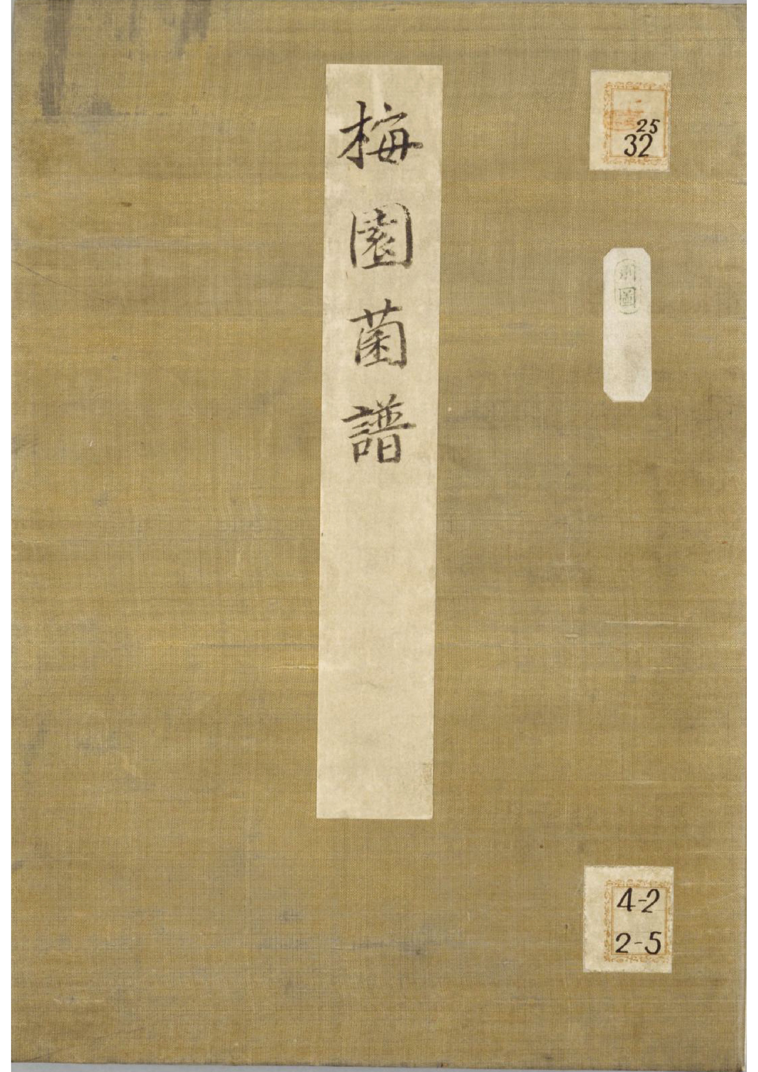 各种多彩菌图片大全,意式野菌图片大全