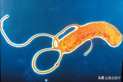 冰淇淋会有细菌么,冰淇淋细菌感染