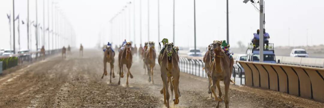 你了解迪拜吗1分钟带你了解迪拜,真正的迪拜到底什么样