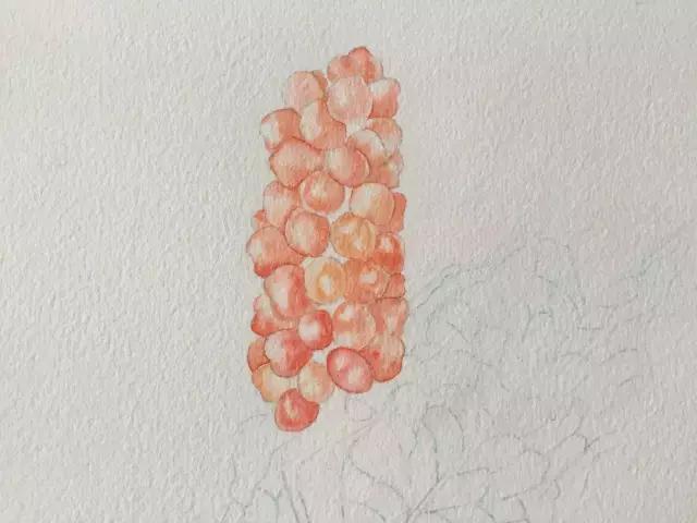 水彩密密麻麻的树叶怎么画,水彩画教程入门叶子