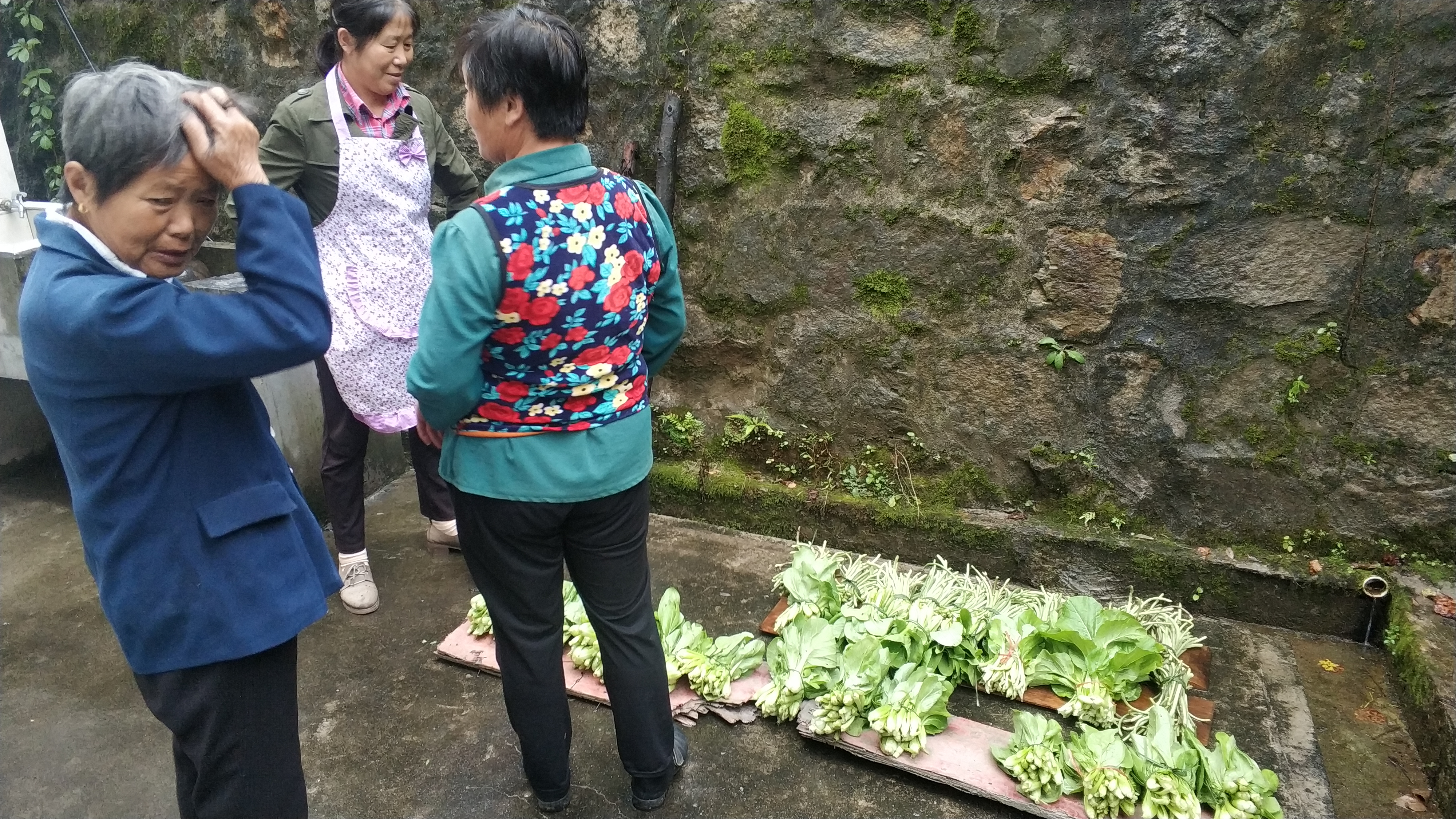 农村大妈的生意经，这样种菜卖一次收入接近100元供不应求