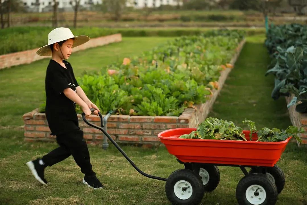 美到犯规！这个500亩的有机庄园，成三产融合教科书