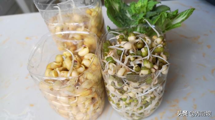 家庭自制生豆芽神器,在家生豆芽简单又靠谱