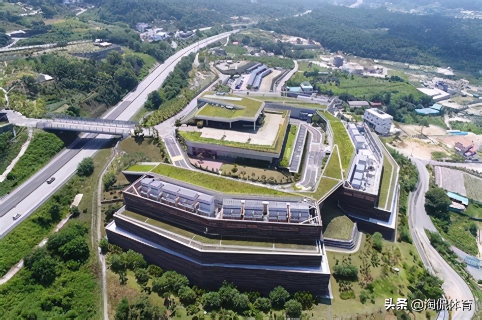 亚洲之光孙兴慜：从韩国普通少年到闪耀世界的足球巨星打怪升级路