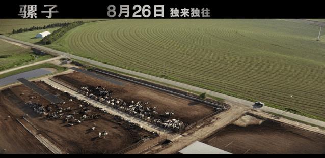 骡子电影原版,哪一部电影有骡子