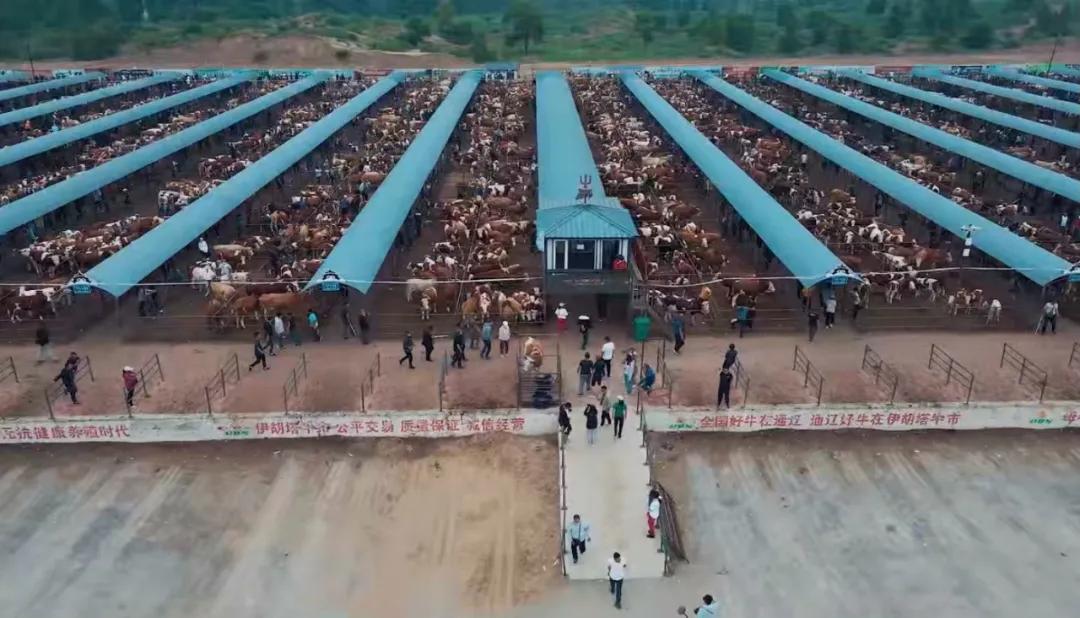 智慧农业百度,智慧农业新成果