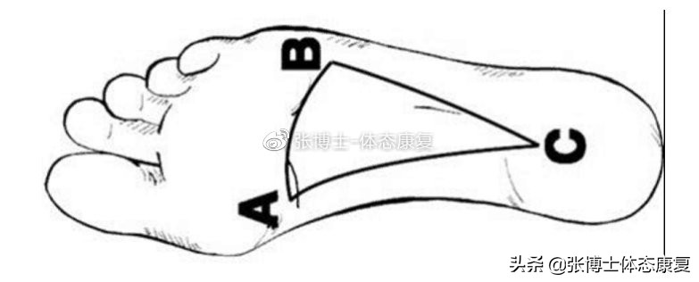 「译文分享」深蹲时你在用足跟发力吗？