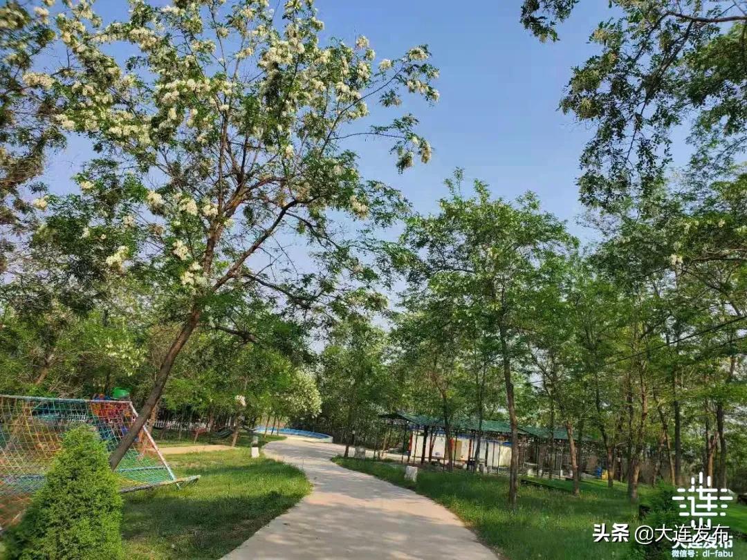 一个极美的露营地,槐之乡露营地