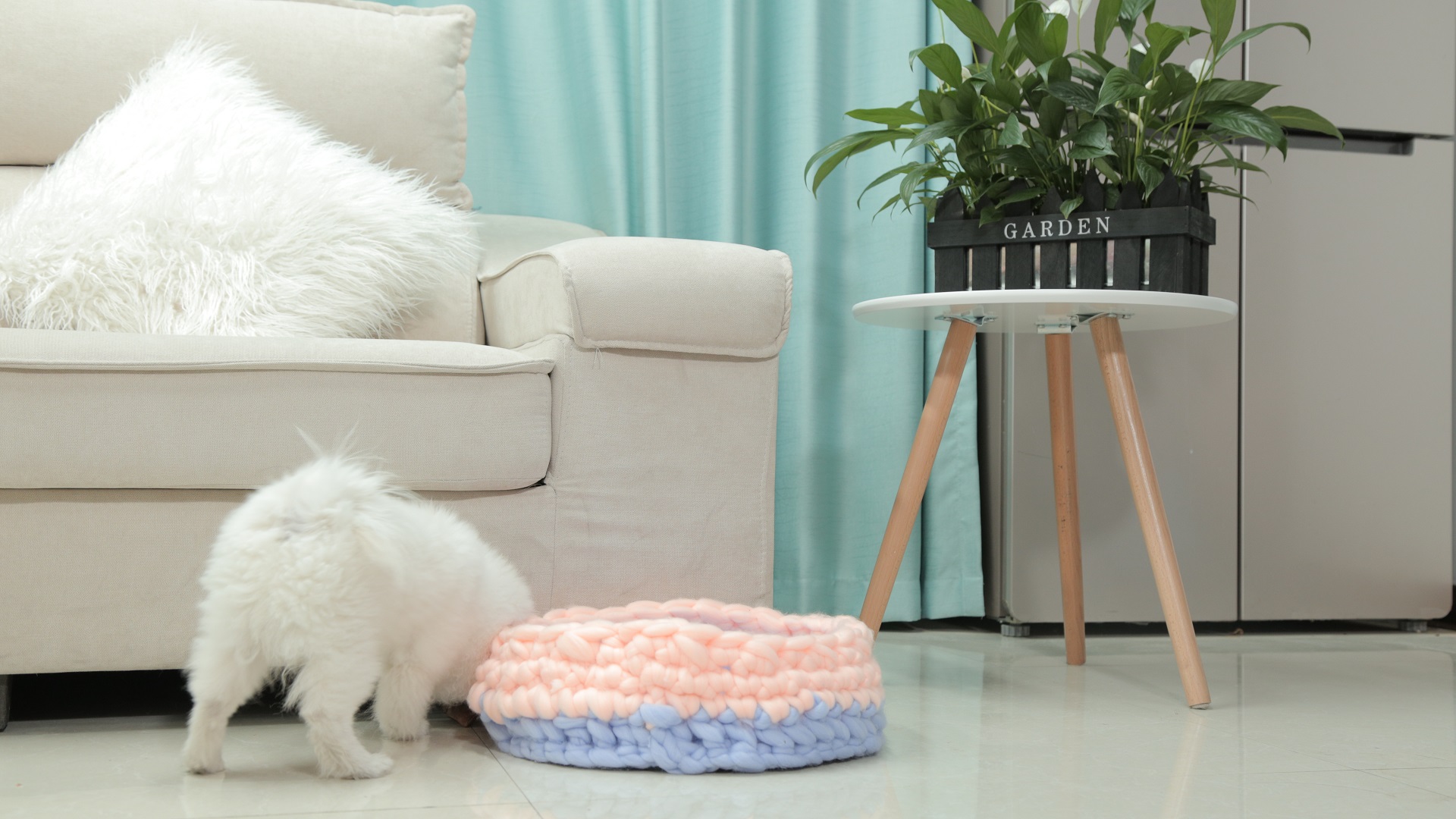 冰岛线能编织什么,冰岛线编织狗窝教程