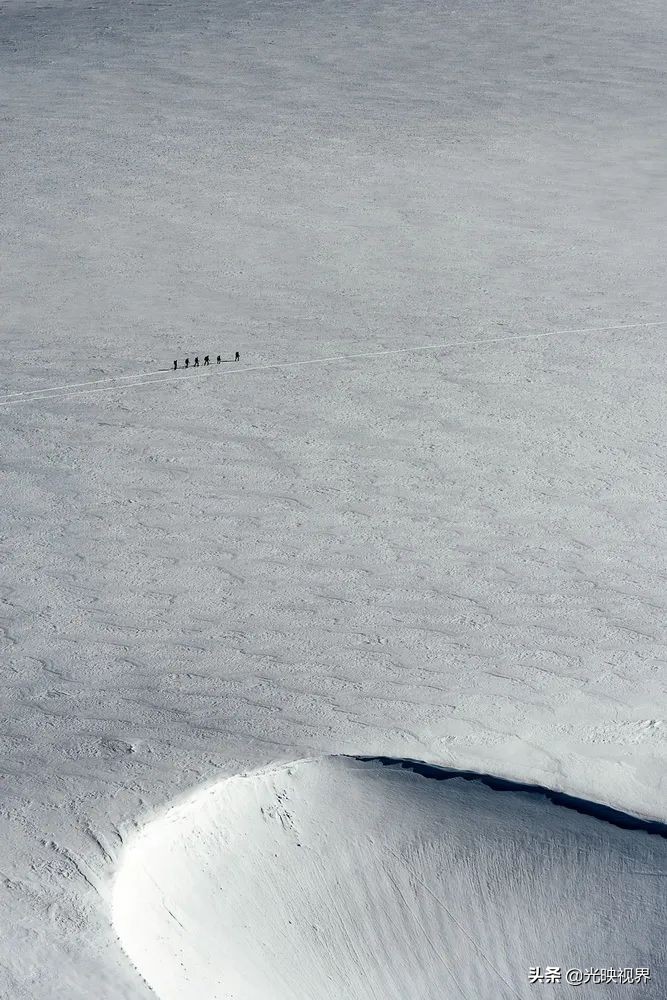 2022年度的ipa摄影大赛获奖作品,2020ippa摄影大赛奖项公布