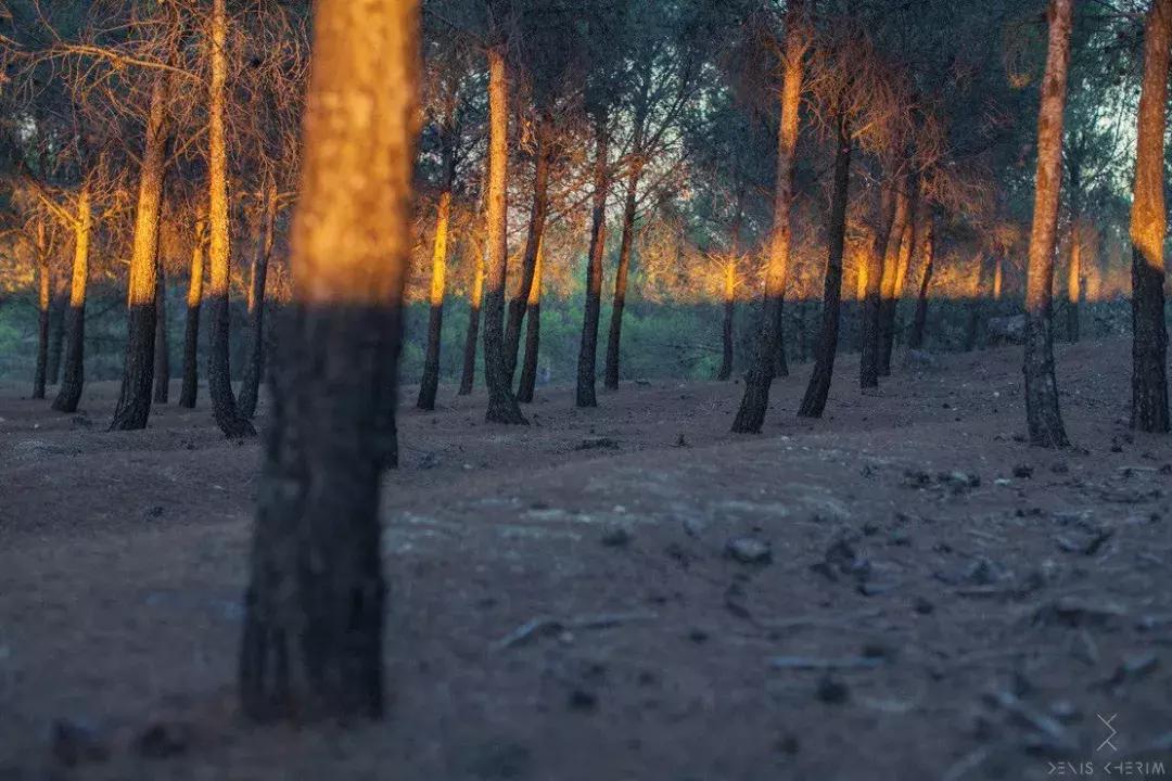 小七甜蜜献吻贝克汉姆,贝克汉姆吻小七引争议视频
