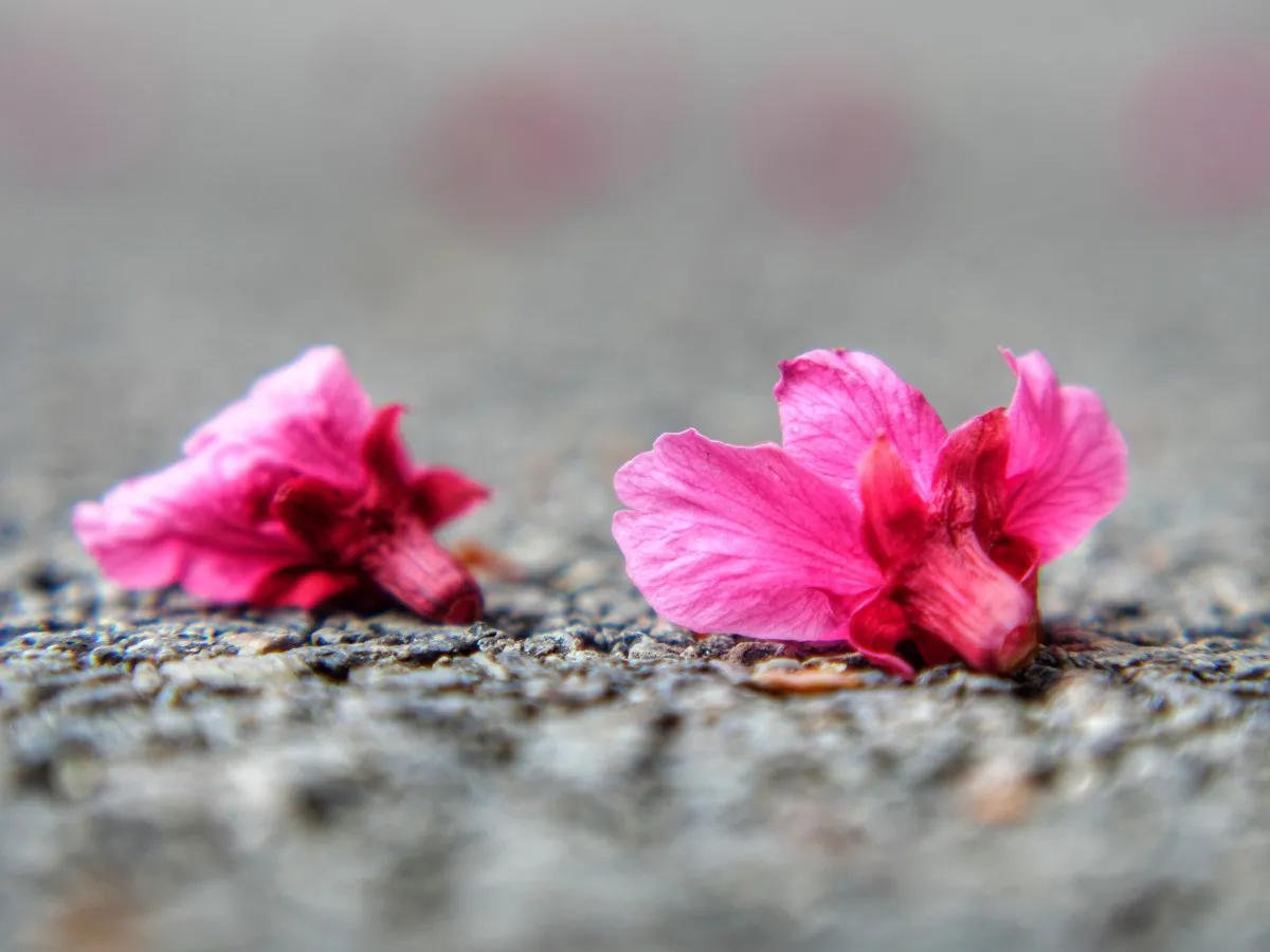 关于教师节的古诗词和名言,教师节感恩老师的经典古诗词