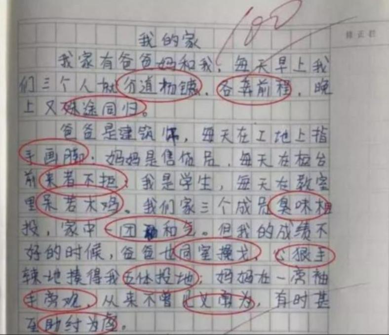 小学生作文《我的小姨》，揭露小姨漂亮的真相，小姨看后追着打