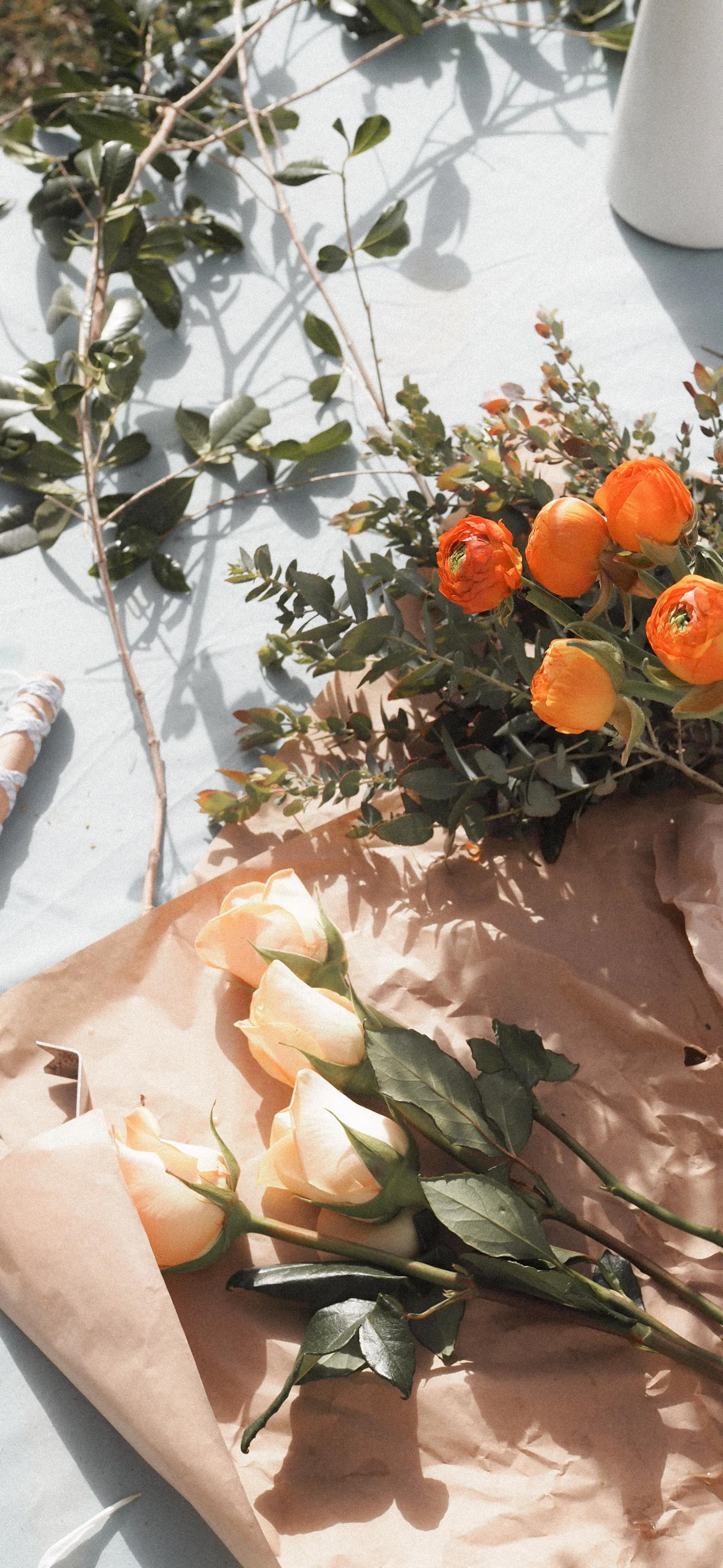 “千挑万选”手机高清壁纸