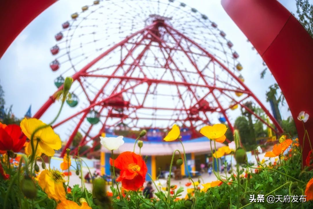 中秋假第2天！天府新区这些地方让你玩个够