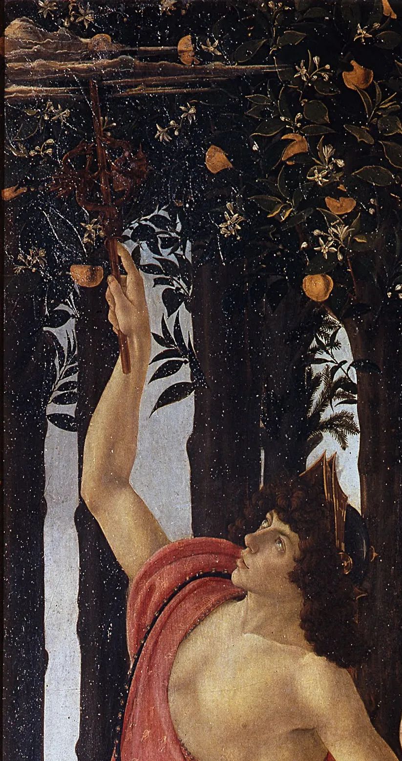 西式婚礼婚戒戴在哪里,西式婚礼戒指介绍