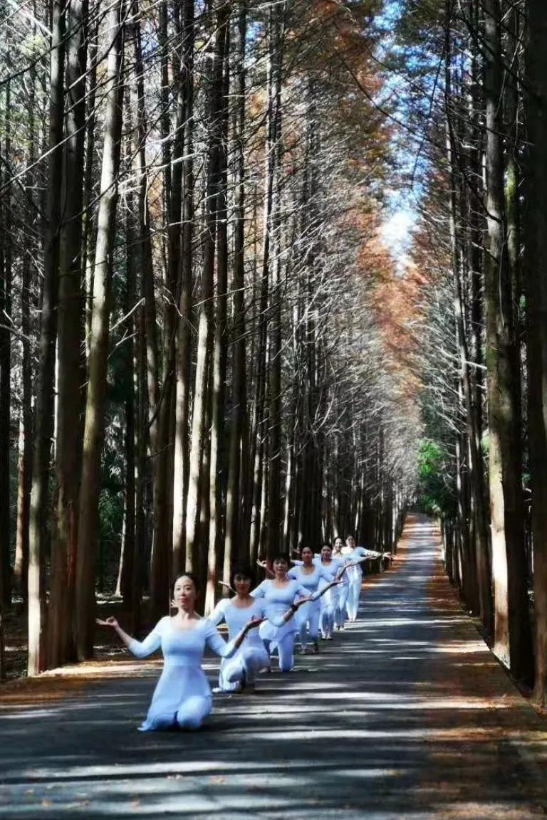 闲坐凉亭、徒步森林、畅快橡皮艇，快来苍溪纳凉避暑~