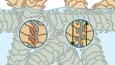 被洗缩水的羊毛衫还有救么,100%绵羊毛羊毛衫怎么清洗防缩水
