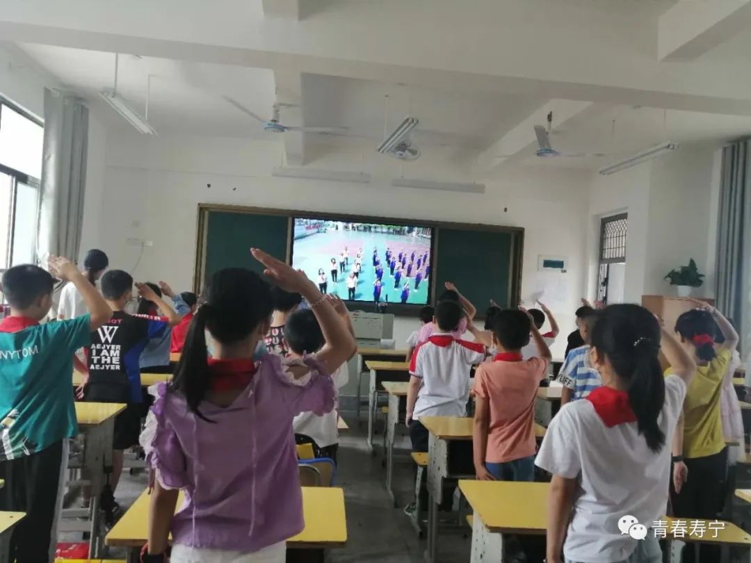 庆六一少先队活动总结,2020年宁德市少先队庆六一