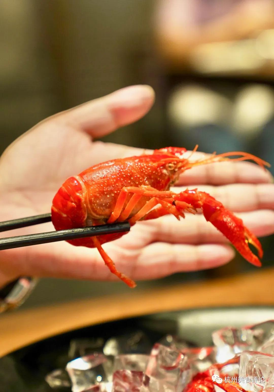 抓住假期最后一天出去吃饭,跟着本地人去探店杭州宝藏美食