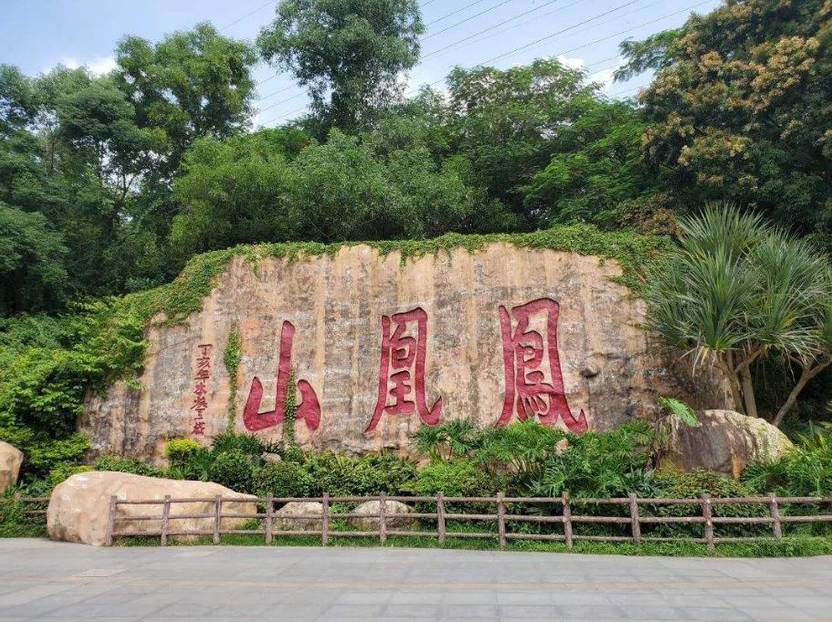 深圳最佳旅游景点旅游攻略,深圳旅游景点攻略大全介绍