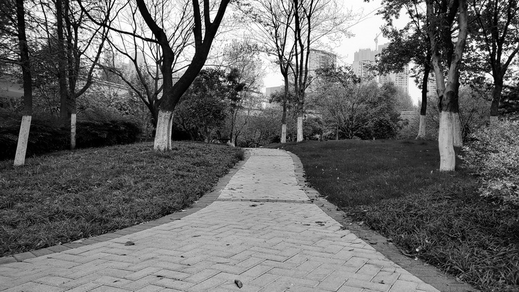 三星galaxyzflip4横向折叠评测,三星折叠屏zflip3与华为折叠屏