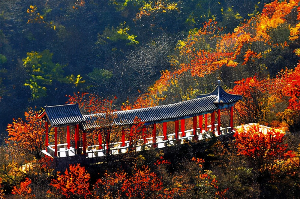 石家庄市滹沱河生态旅游景区,石家庄5a旅游景区名单最新