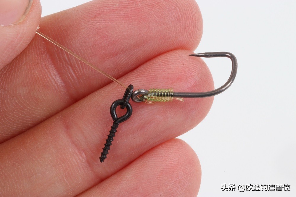 欧鲤钓钓组篇,欧鲤钓组和飞德钓组