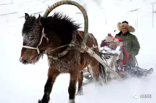 目前中国最冷的地方在哪里,中国现在最冷的地方有多冷