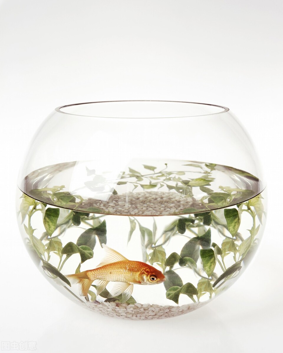 鱼缸位置摆放的正确方法图,鱼缸正确应摆放什么位置