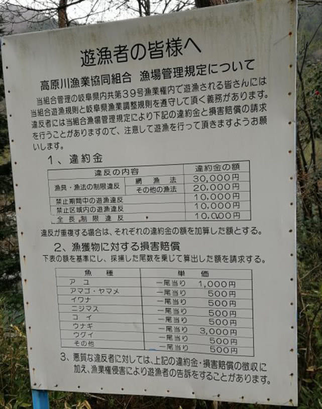 日本人认为最好吃的鱼,日本最好吃的几种鱼