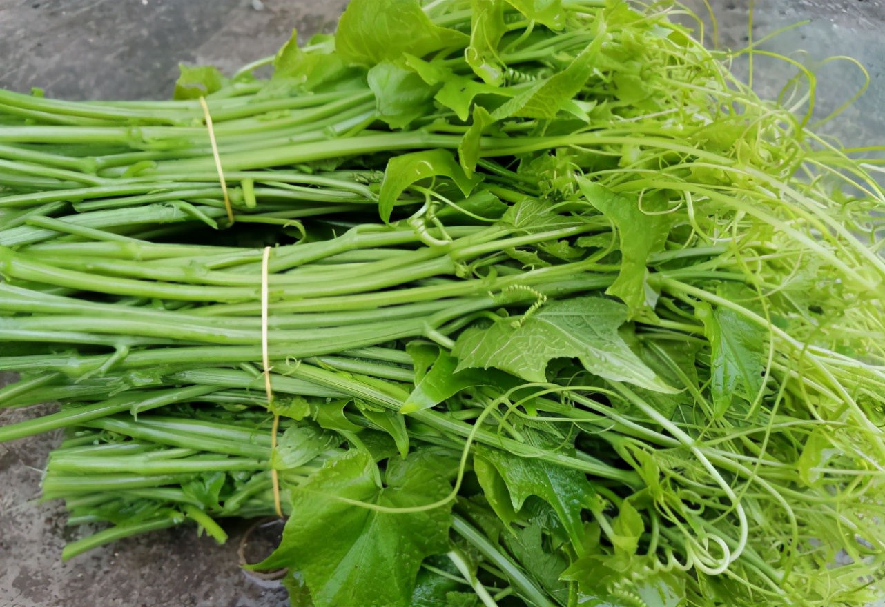 俗称“寿瓜”，有佛教祝福之意，能当水果也能做菜，如今市场少见