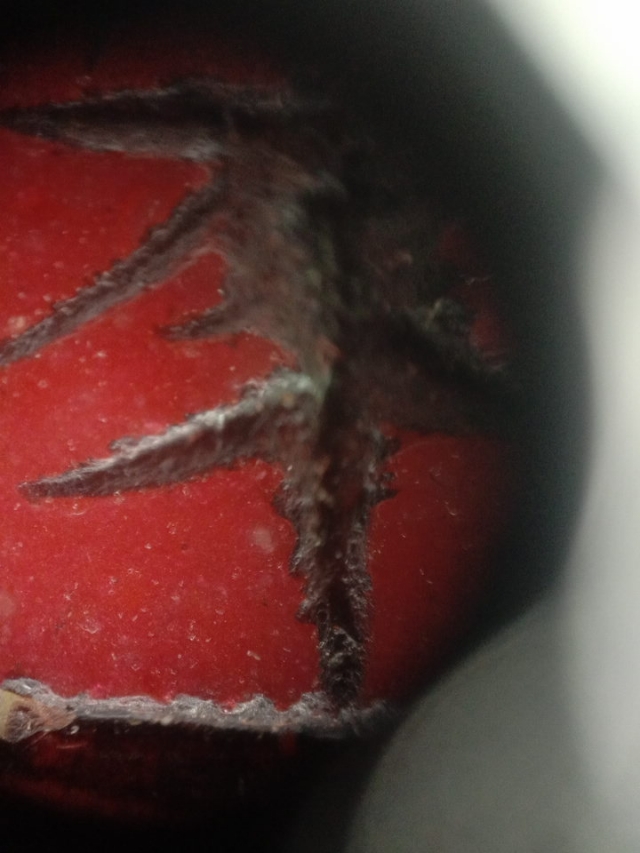 满血大红袍鸡血石,明末清初的田黄石