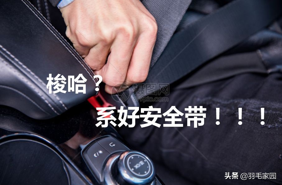 足球竞彩：看中比赛，*哈梭**！？羽毛家园提醒：请先系好安全带