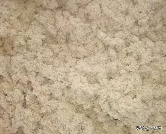 普通雪茄和高级雪茄,普通杉木和香杉木的区别