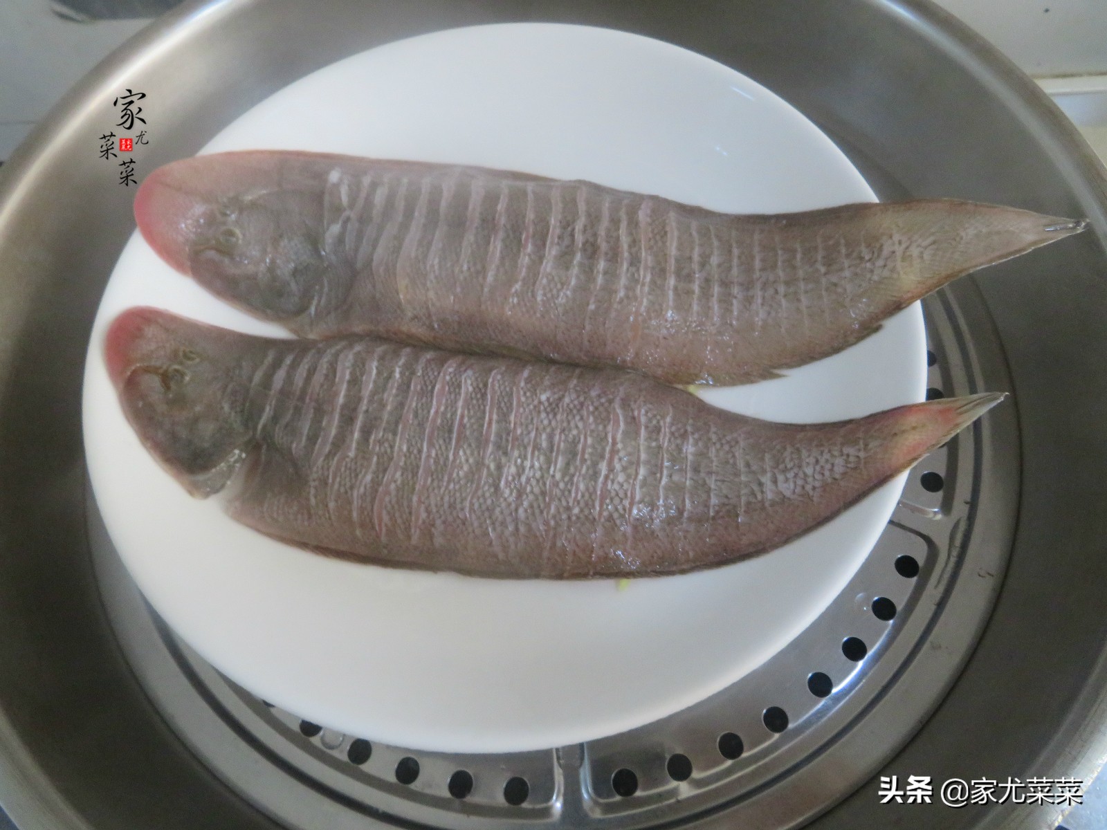 家常最好吃的海鱼,清蒸海鱼选什么鱼好吃