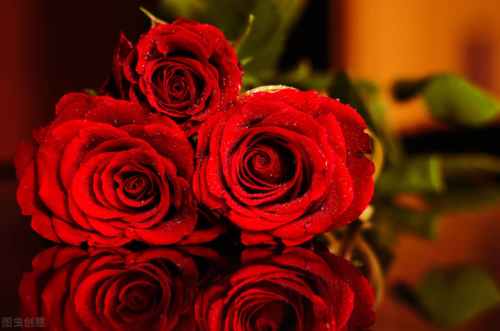 有只蚊子的故事,有一只蚊子的故事