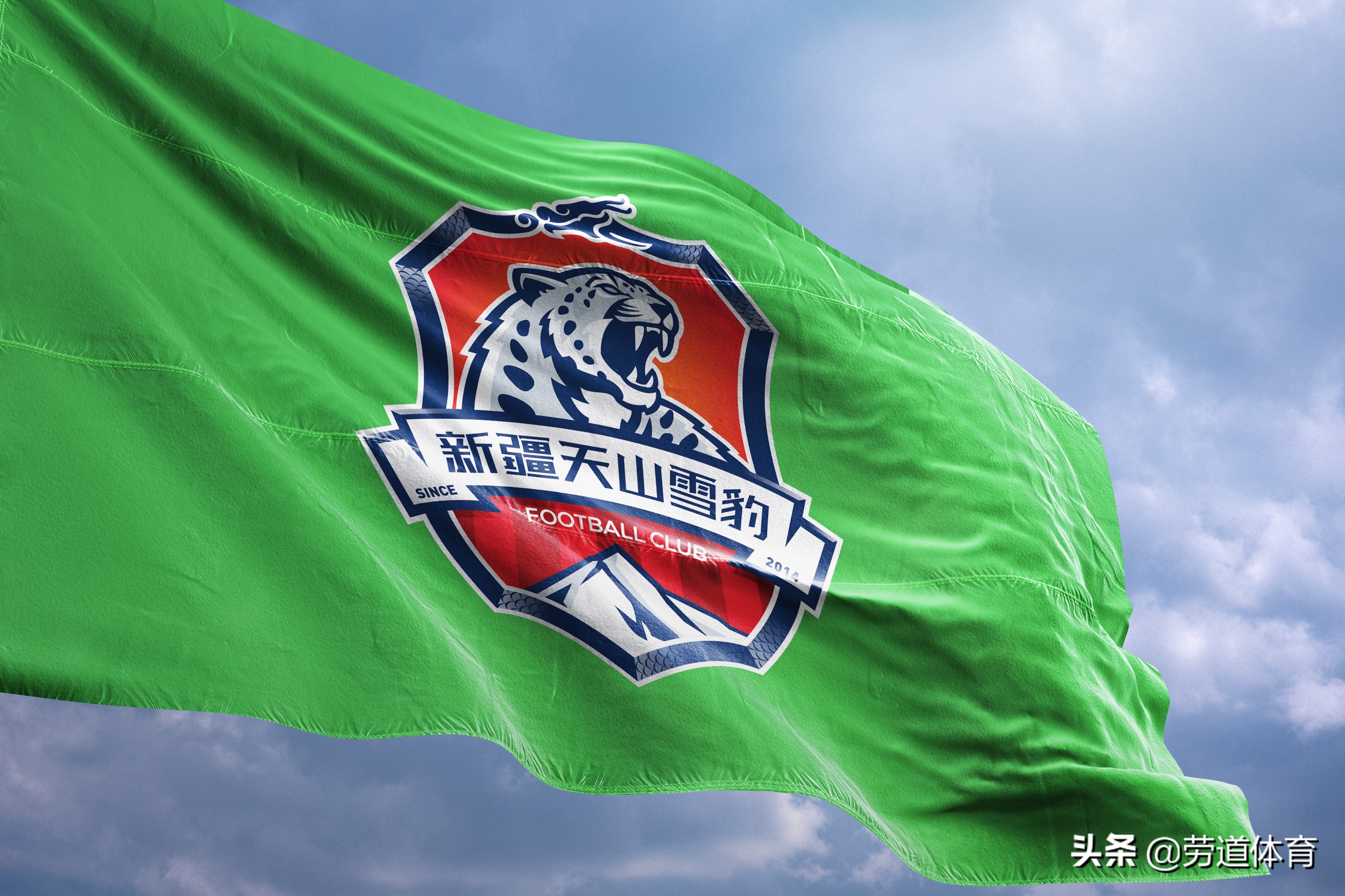 新疆天山雪豹以前的队徽,新疆天山雪豹队徽图片