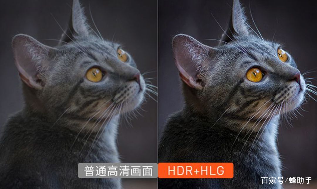 电视盒子全面推荐,2021年好用的网络电视盒子