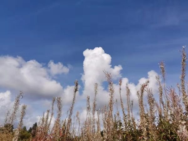 秋明到叶卡捷琳堡,秋明到叶卡捷琳堡多长时间