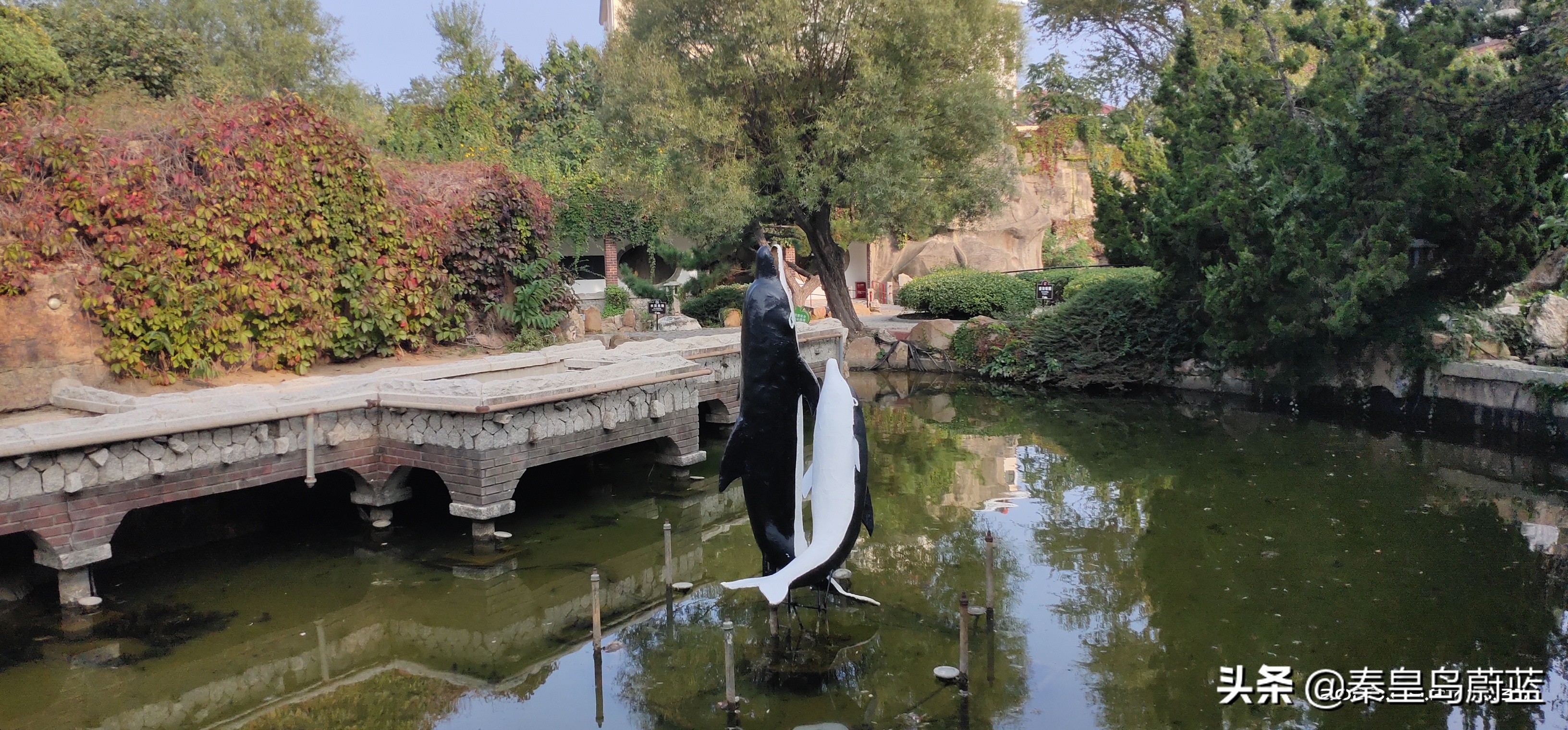 北戴河怪楼奇园来历,北戴河怪楼奇园视频