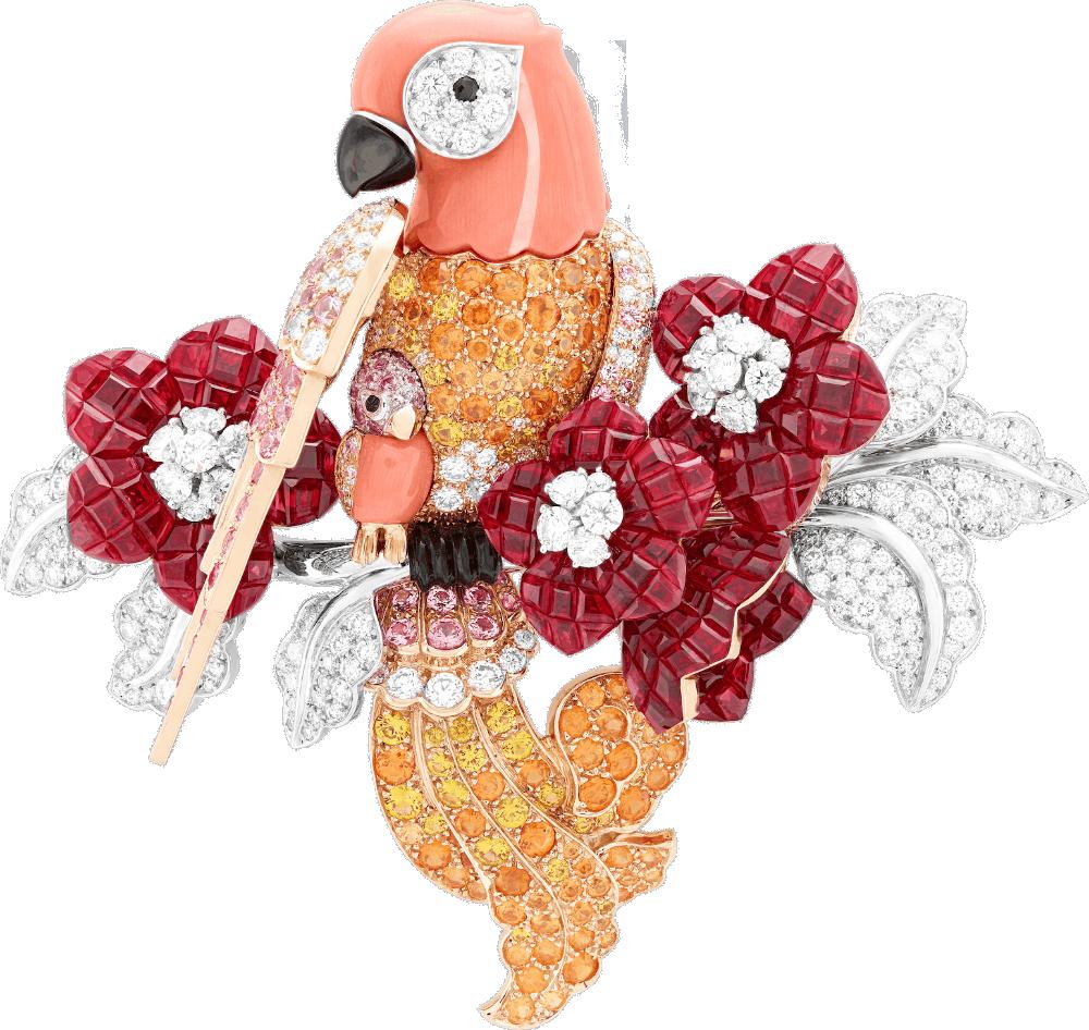 500岁成网红，5万网友点赞！这天文球戒指有多厉害？