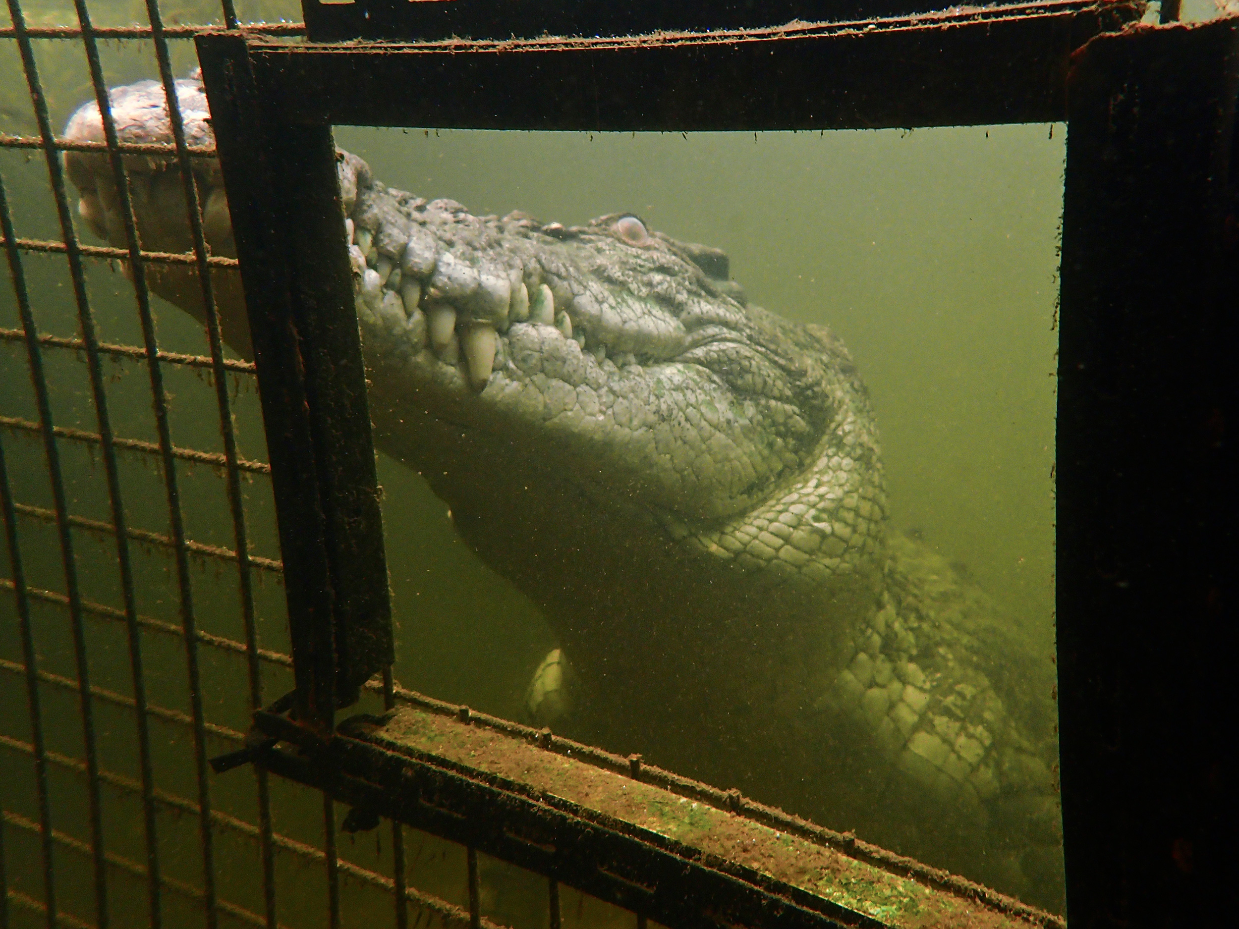 生产一个女包要多少钱,生产一个箱包的机器多少钱
