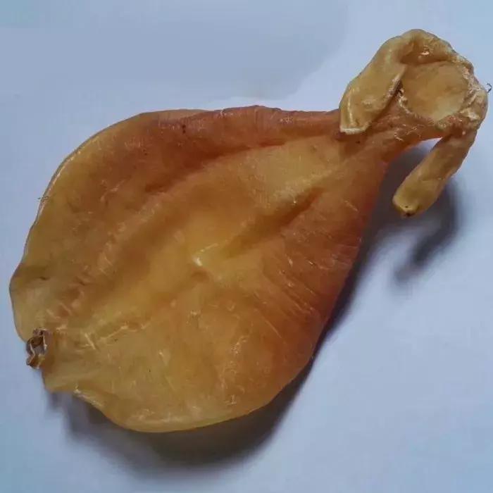 赤嘴鳘鱼胶多少钱一斤,纯野生湛江赤嘴鳘鱼胶花胶