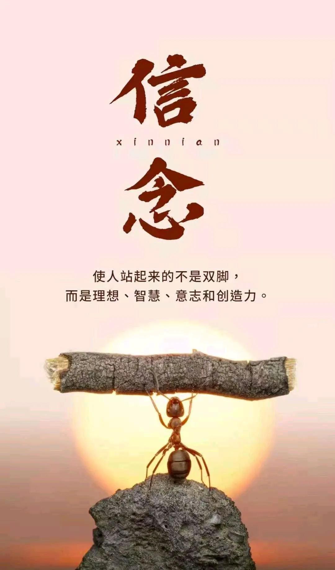 底层人物如何成功逆袭，必须突破自我，涅槃重生的“六*法大**宝”