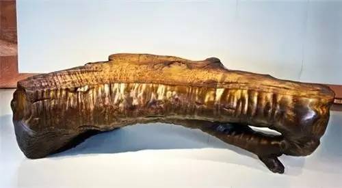 木头全部小说,木头免费观看