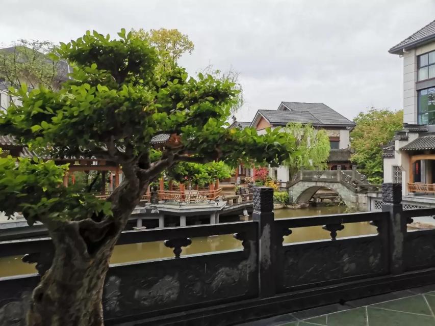 黄山值得打卡的酒店,打卡中国顶级奢华酒店