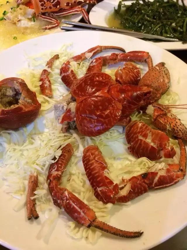 帕劳斐济马尔代夫哪个好,斐济和帕劳旅行